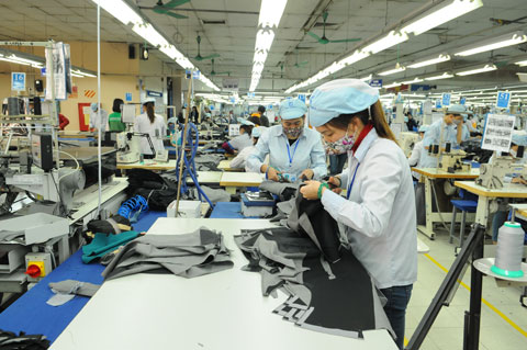 Anysew.vn_Cần tăng cường nghiên cứu thị trường