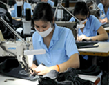 Anysew..vn_D?t may hoàn thành 50% m?c tiêu xu?t kh?u